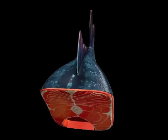Fish image