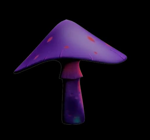 Fungus image